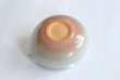 Photo6: Hagi ware pottery Yusamashi Japanese tea pot hime cray 360ml  (6)
