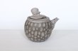 Photo5: Tokoname Japanese tea pot kyusu Kenji nerikomi gray clay 320ml (5)