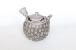 Photo1: Tokoname Japanese tea pot kyusu Kenji nerikomi gray clay 320ml (1)