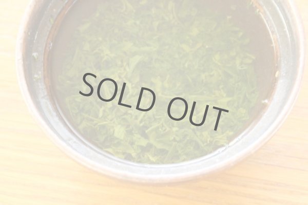 Photo6: Obara Sencha High class Japanese green tea in Uji Kyoto 90g (6)