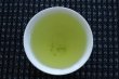 Photo5: Obara Sencha High class Japanese green tea in Uji Kyoto 90g (5)