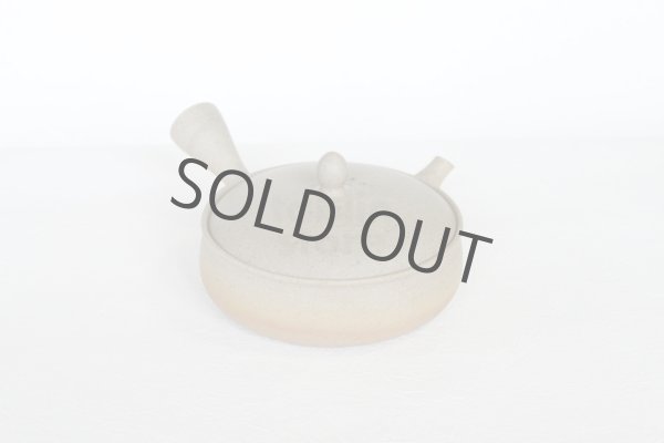 Photo2: Tokoname 2H Japanese tea pot Gyokko pottery tea strainer flat shape yakishime 170ml (2)