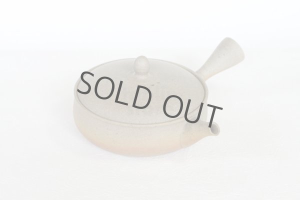 Photo1: Tokoname 2H Japanese tea pot Gyokko pottery tea strainer flat shape yakishime 170ml (1)