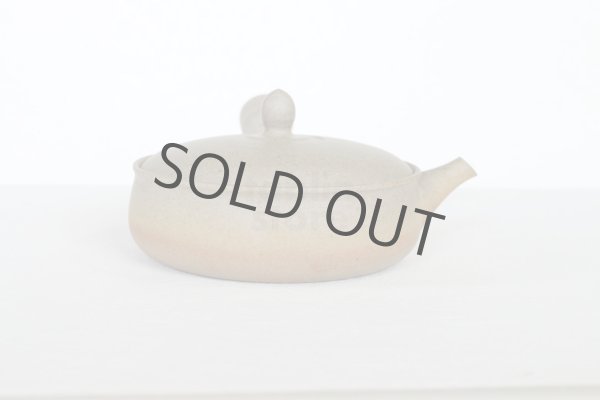 Photo10: Tokoname 2H Japanese tea pot Gyokko pottery tea strainer flat shape yakishime 170ml (10)