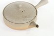 Photo9: Tokoname 2H Japanese tea pot Gyokko pottery tea strainer flat shape yakishime 170ml (9)