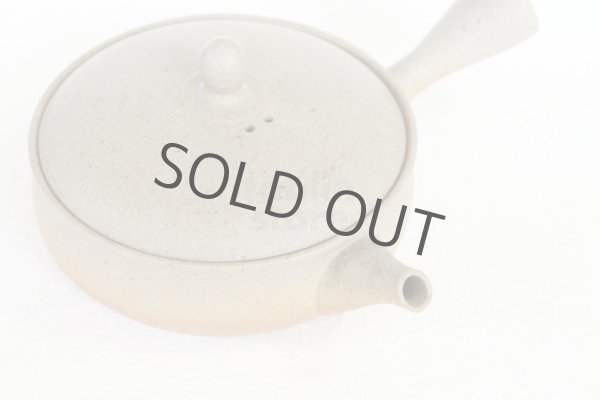 Photo9: Tokoname 2H Japanese tea pot Gyokko pottery tea strainer flat shape yakishime 170ml (9)