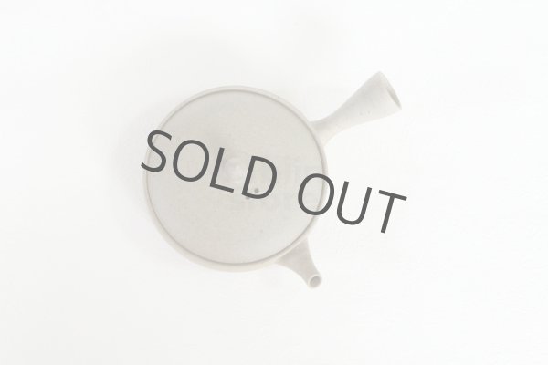 Photo8: Tokoname 2H Japanese tea pot Gyokko pottery tea strainer flat shape yakishime 170ml (8)
