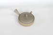 Photo7: Tokoname 2H Japanese tea pot Gyokko pottery tea strainer flat shape yakishime 170ml (7)