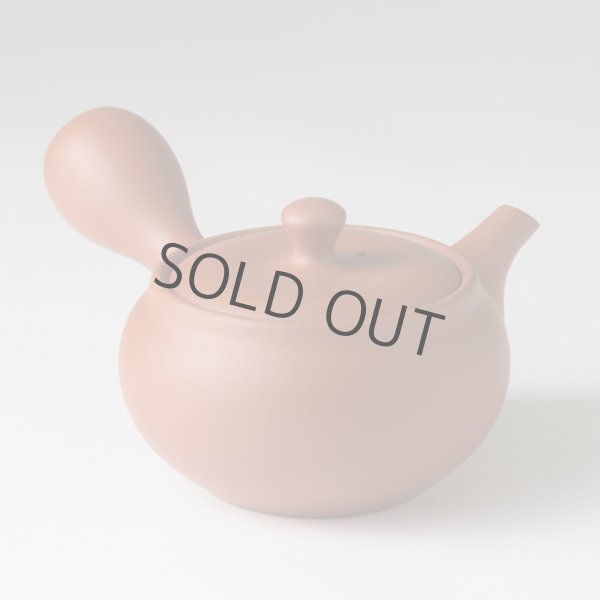 Photo14: Tokoname tea pot kyusu Jinsui Kiwami shudei red naka hira 270ml (14)