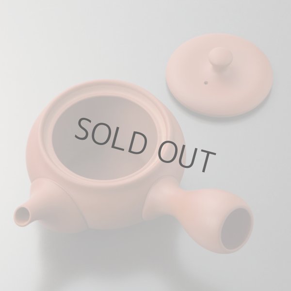 Photo13: Tokoname tea pot kyusu Jinsui Kiwami shudei red naka hira 270ml (13)