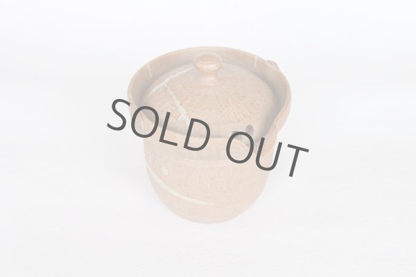 Photo8: Tokoname ware Japanese tea pot isshin carved cover ceramic tea strainer 180ml (8)
