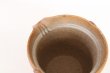 Photo5: Tokoname ware Japanese tea pot isshin carved cover ceramic tea strainer 180ml (5)