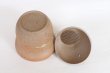 Photo4: Tokoname ware Japanese tea pot isshin carved cover ceramic tea strainer 180ml (4)