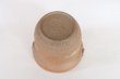 Photo3: Tokoname ware Japanese tea pot isshin carved cover ceramic tea strainer 180ml (3)