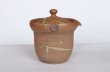 Photo2: Tokoname ware Japanese tea pot isshin carved cover ceramic tea strainer 180ml (2)
