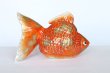 Photo4: Japanese Goldfish Statue Figurine Kutani Porcelain red sai W16cm (4)