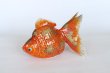 Photo3: Japanese Goldfish Statue Figurine Kutani Porcelain red sai W16cm (3)