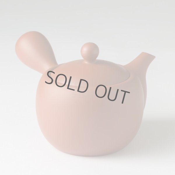 Photo2: Tokoname tea pot kyusu Jinsui Kiwami shudei red amimaru 370ml (2)