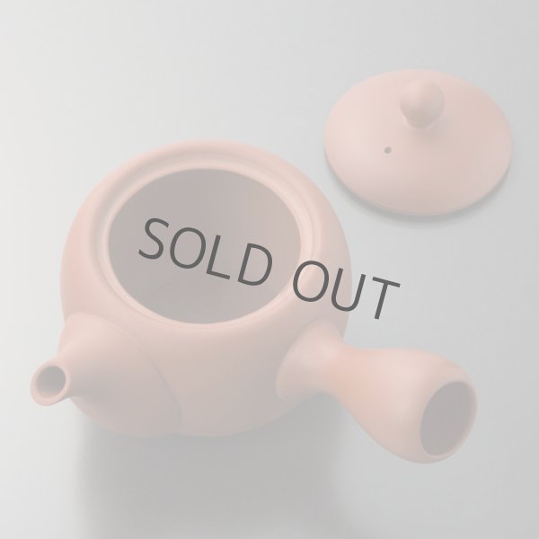 Photo4: Tokoname tea pot kyusu Jinsui Kiwami shudei red amimaru 370ml (4)