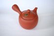 Photo9: Tokoname tea pot kyusu Jinsui Kiwami shudei red amimaru 370ml (9)