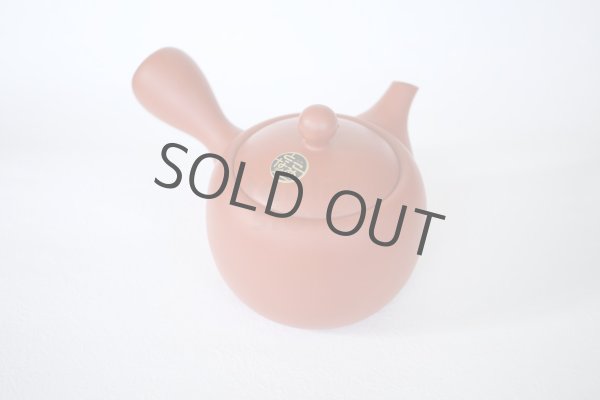 Photo9: Tokoname tea pot kyusu Jinsui Kiwami shudei red amimaru 370ml (9)