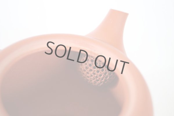 Photo8: Tokoname tea pot kyusu Jinsui Kiwami shudei red amimaru 370ml (8)