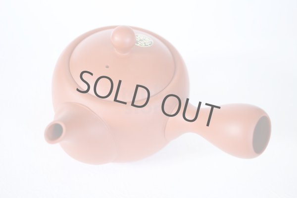 Photo6: Tokoname tea pot kyusu Jinsui Kiwami shudei red amimaru 370ml (6)