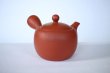 Photo1: Tokoname tea pot kyusu Jinsui Kiwami shudei red amimaru 370ml (1)