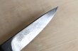 Photo3: Shokei Funaki hangetsu white 2 steel Lacquer wisteria string cord handle Tanto Fixed Blade Knife 85mm (3)