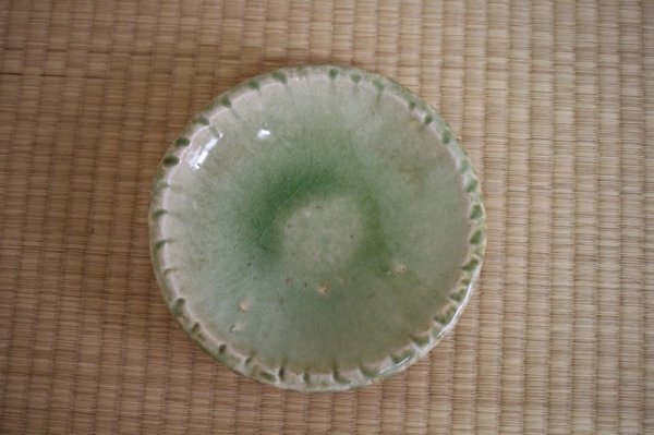 Photo7: Shigaraki pottery Japanese Serving plate nonohara D 20cm (7)