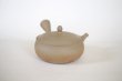 Photo12: Tokoname Japanese tea pot Gyokko pottery tea strainer flat shape yakishime 250ml (12)