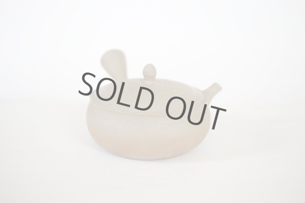 Photo12: Tokoname Japanese tea pot Gyokko pottery tea strainer flat shape yakishime 240ml (12)