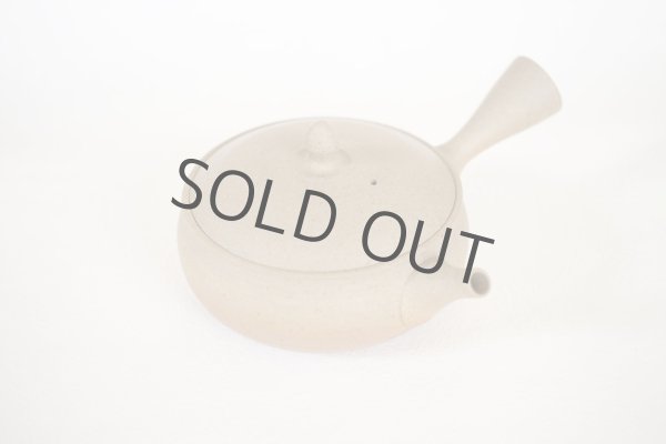 Photo11: Tokoname Japanese tea pot Gyokko pottery tea strainer flat shape yakishime 240ml (11)