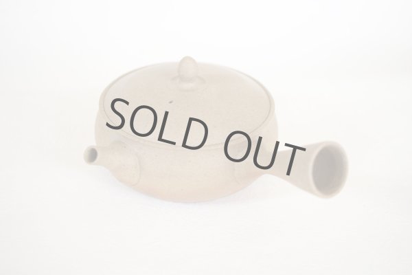 Photo10: Tokoname Japanese tea pot Gyokko pottery tea strainer flat shape yakishime 240ml (10)