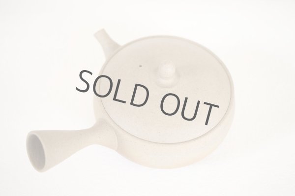 Photo9: Tokoname Japanese tea pot Gyokko pottery tea strainer flat shape yakishime 240ml (9)