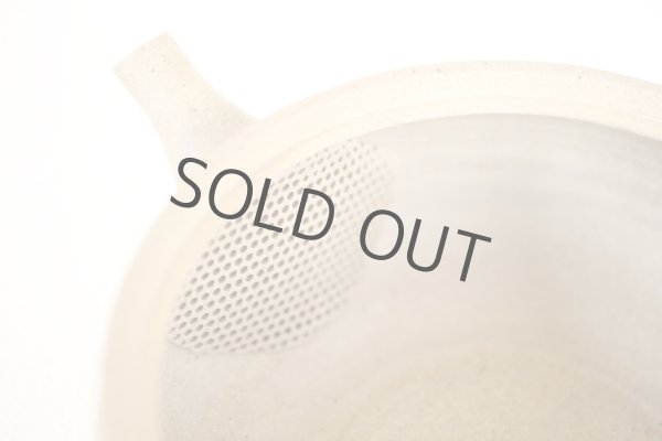 Photo8: Tokoname Japanese tea pot Gyokko pottery tea strainer flat shape yakishime 240ml (8)