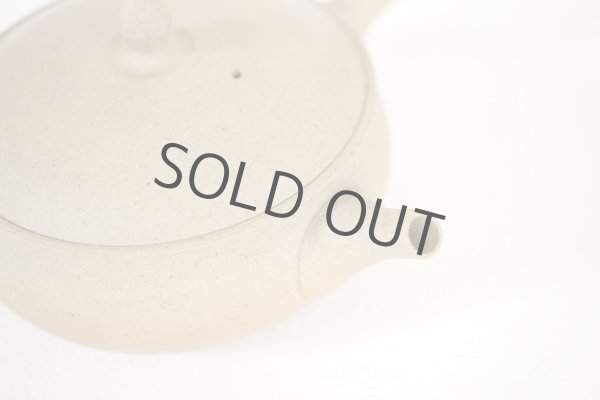 Photo6: Tokoname Japanese tea pot Gyokko pottery tea strainer flat shape yakishime 240ml (6)