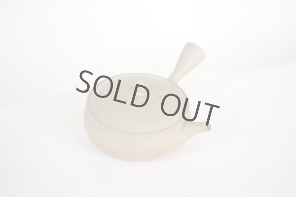 Photo5: Tokoname Japanese tea pot Gyokko pottery tea strainer flat shape yakishime 240ml (5)