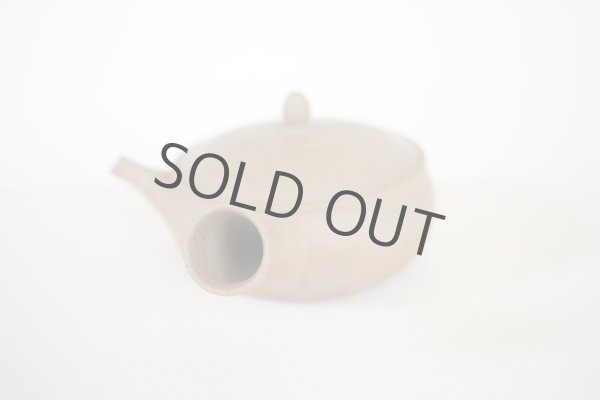 Photo4: Tokoname Japanese tea pot Gyokko pottery tea strainer flat shape yakishime 240ml (4)