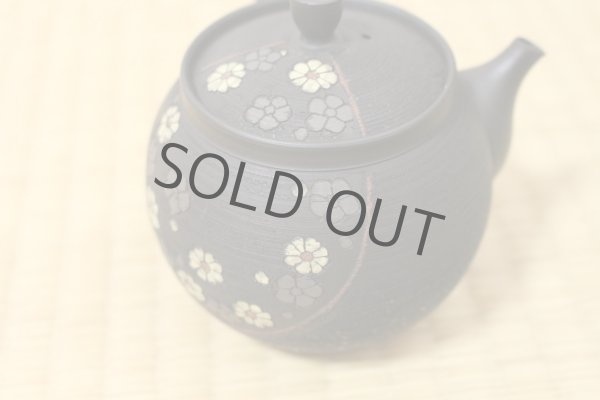 Photo5: Tokoname Japanese tea pot kyusu Komatsu ceramic tea strainer round flower 280ml (5)