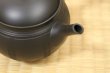 Photo7: Tokoname Japanese tea pot Hokuryu ceramic tea strainer nota black 270ml (7)