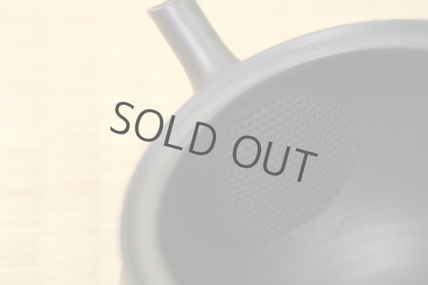 Photo8: Tokoname Japanese tea pot Hokuryu ceramic tea strainer nota black 270ml (8)