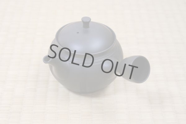 Photo2: Tokoname Japanese tea pot Hokuryu ceramic tea strainer nota black 270ml (2)
