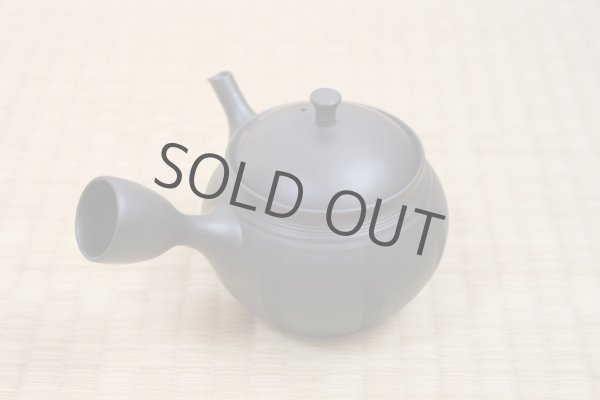 Photo3: Tokoname Japanese tea pot Hokuryu ceramic tea strainer nota black 270ml (3)
