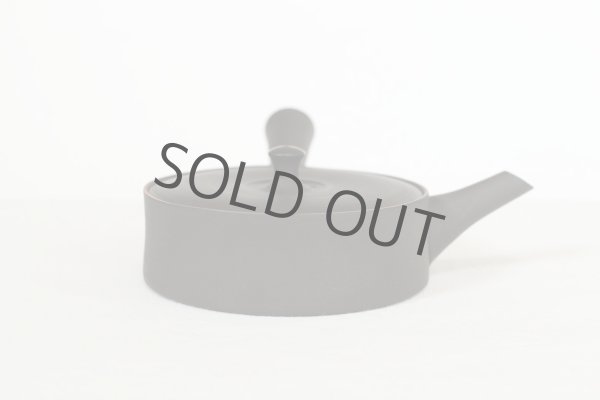 Photo9: Tokoname Japanese tea pot Sekiryu pottery tea strainer flat shape shudei black 150ml (9)