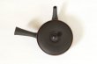 Photo2: Tokoname Japanese tea pot Sekiryu pottery tea strainer flat shape shudei black 150ml (2)