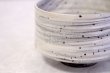 Photo9: Shigaraki pottery Japanese tea ceremony bowl white glaze hakeme matcha chawan (9)