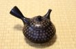 Photo2: Tokoname Japanese tea pot kyusu YT Hokuryu pressed gold  flower 300ml (2)