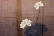 Photo5: Noren Mitsuru Japanese linen door curtain Kakishibu hasu lotus 88 x 150cm (5)
