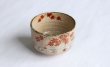 Photo11: Kiyomizu Kyoto Japanese matcha tea bowl chawan Ryoji iroe autumn leaves pottery (11)